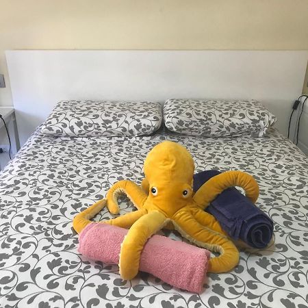 Medano Octopus Apartment El Médano Dış mekan fotoğraf